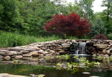 Waterfall with pond
